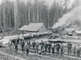 Donahue and Kelly Logging Co., Powell Valley Road circa 1890