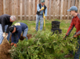 Photo of a group of volunteers helping to plant trees