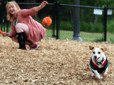 Off-leash area in Main City Park
