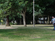 People playing disc golf in Rockwood Central Park