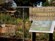 Community garden in Vance Park